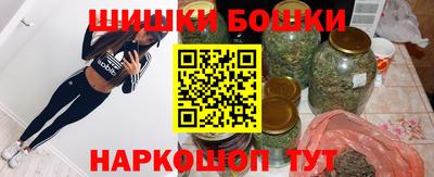 дмт Кингисепп