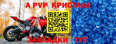 дмт Кингисепп