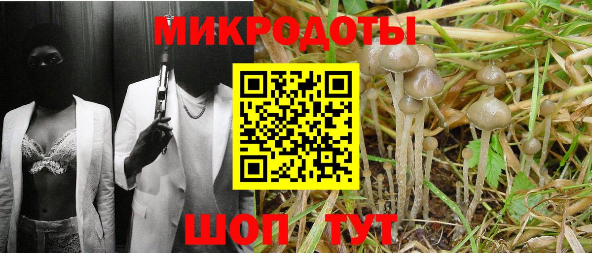 Галлюциногенные грибы Cubensis  Вход с VPN  Конаково 